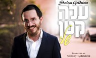 Shalom Goldstein – Aleh Katan Sheli | שלום גאלדשטיין – עלה קטן שלי‎